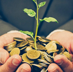 welath management in nigeria3